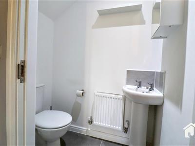Picture 7